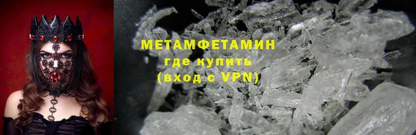 индика Алексин