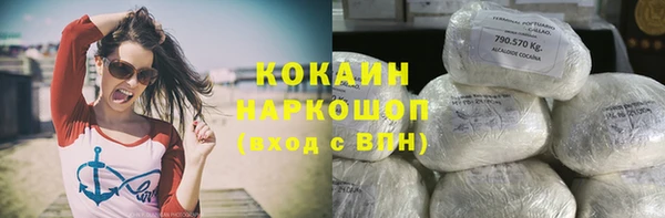 индика Алексин