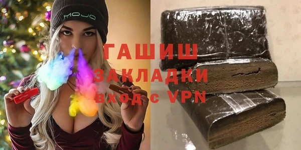 индика Алексин